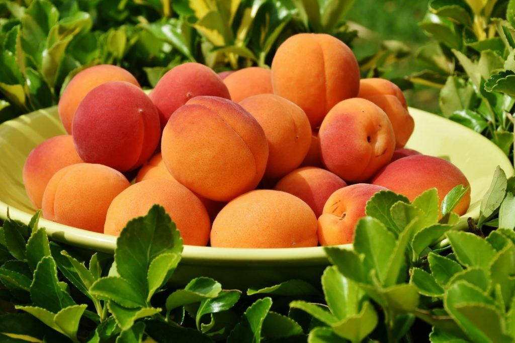 Colorado Peaches Food Smart Colorado