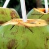 Coconuts cut with straw in them