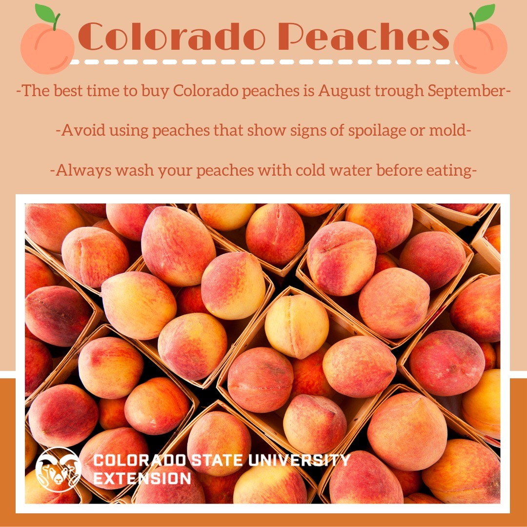 August and September are the best time to buy Colorado peaches. By visiting the link in our bio, you can learn all about Colorado peaches and different food preservation tips.

#foodsmartcolorado #coloradoproduce #peaches #coloradopeaches #preservation #foodpreservation #freezing #peachjam #nutrition