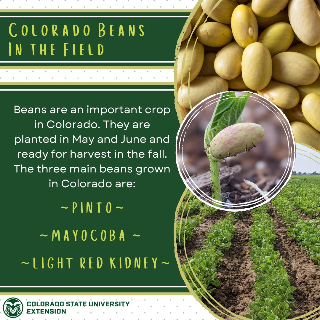 Printable Resources for Professionals - Food Smart Colorado