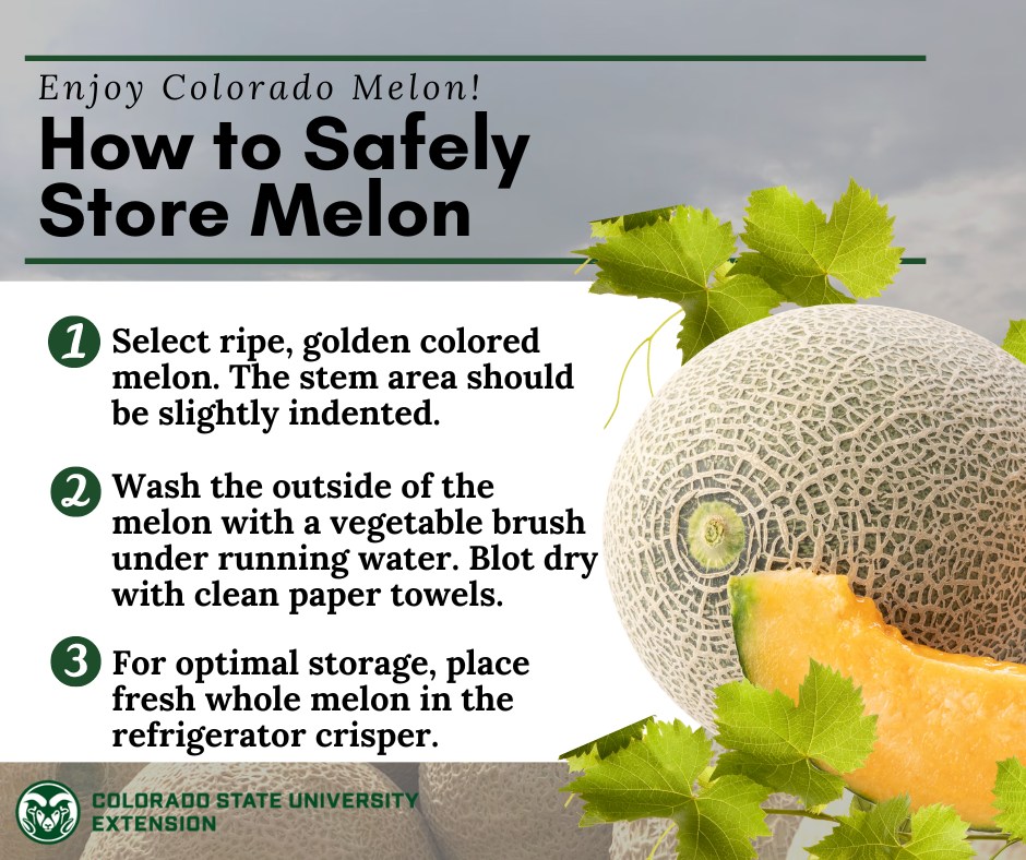 What is a Healthy Dietary Pattern Food Smart Colorado