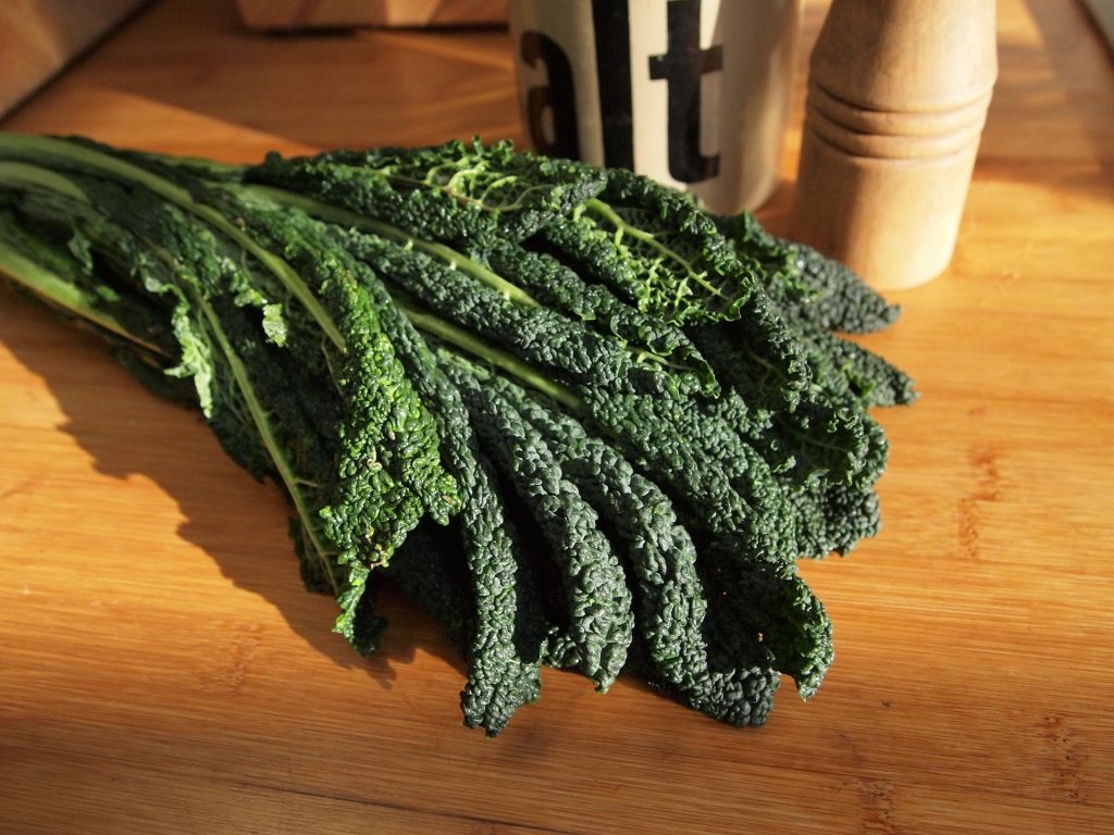 A picture of a large kale leaf