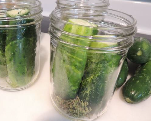 Sliced cucumbers in a jar, preparation for pickling.