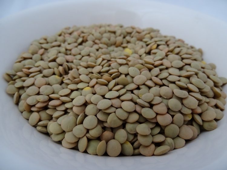 Dried green lentils on a plate.