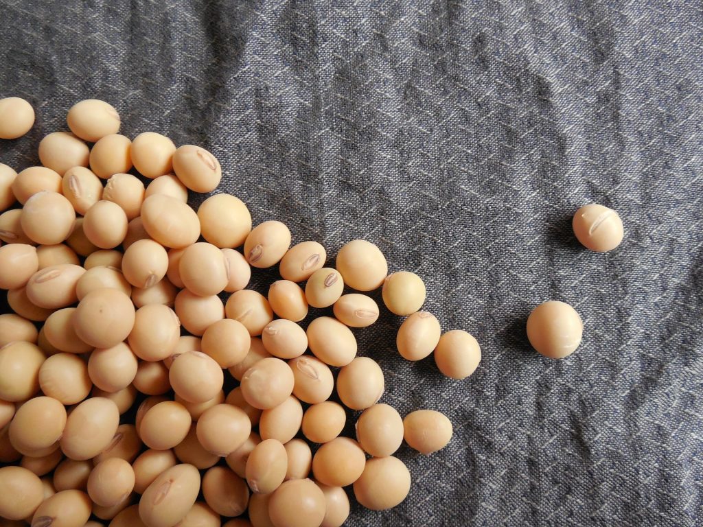 Pile of dried soybeans on table cloth.