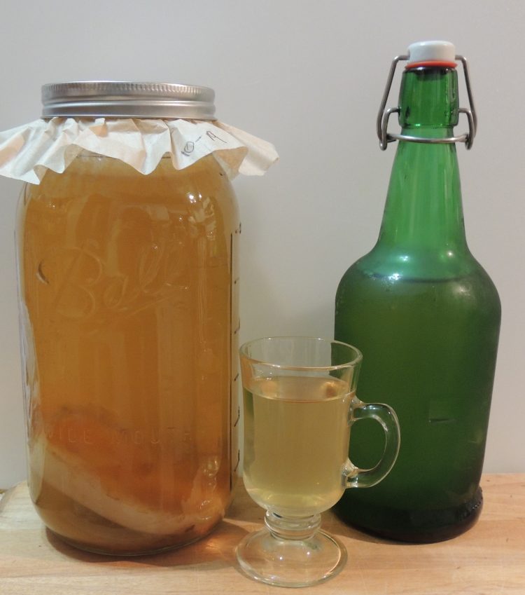 Understanding and Making Kombucha Food Smart Colorado