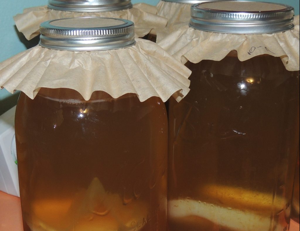 Kombucha fermenting in a jar with paper filter on top.