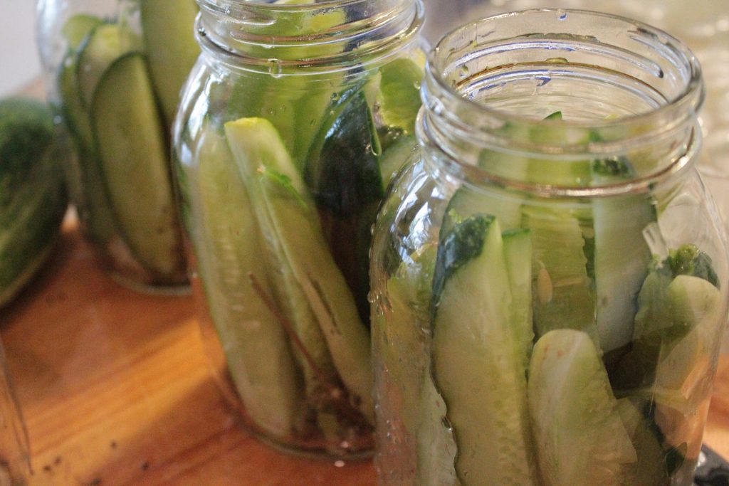 Pickled cucumbers in jars. 