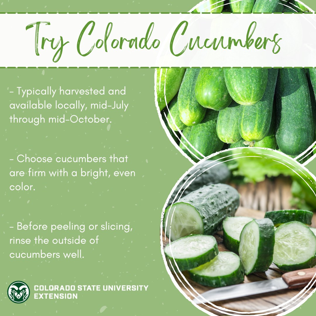 Guide to Treating Water in the Backcountry Food Smart Colorado