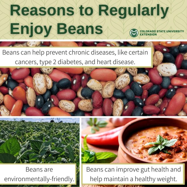 What is a Healthy Dietary Pattern – Food Smart Colorado