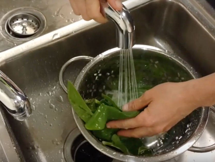 Spinach being washed in a colander in the sink.