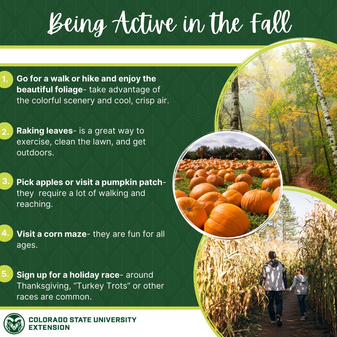 As cooler weather starts it is perfect time to be active outdoors. Explore different ideas to stay active in the fall by visiting the link in our bio!

 #foodsmartcolorado #fall #colorado #hiking #cornmaze #applepicking #pumpkinpatch #active #activites