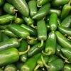 Pile of jalapeno peppers.