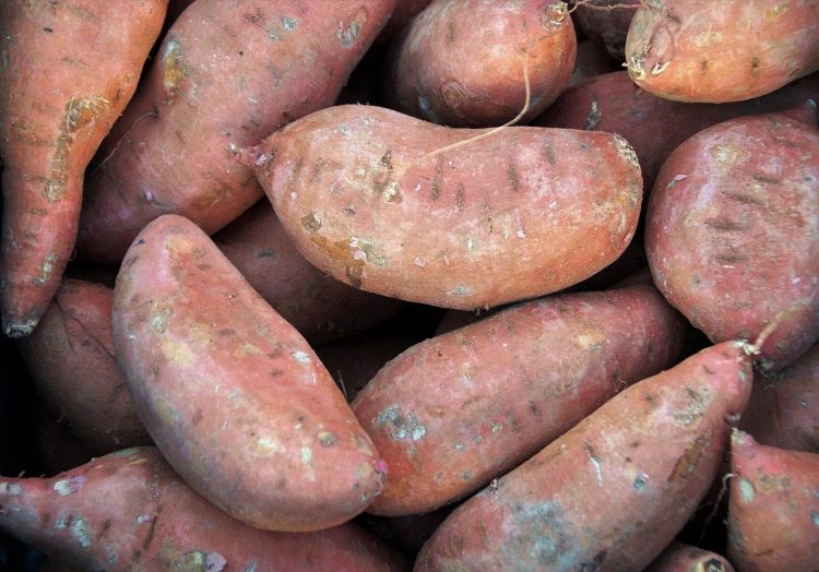 Pile of raw sweet potatoes.