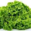 Green lettuce