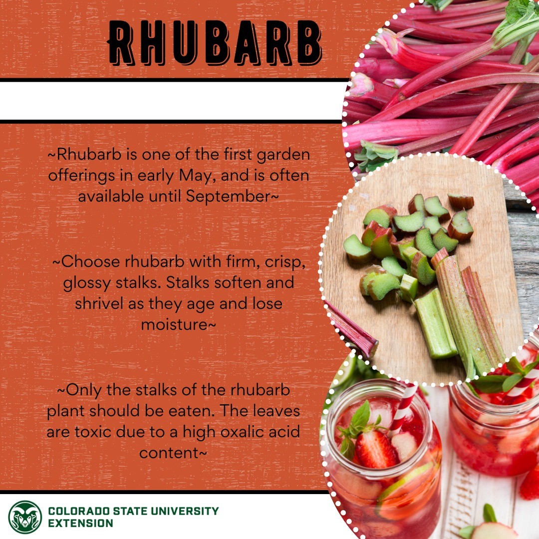 Rhubarb is one of the first garden offerings starting in early May! Learn all about Rhubarb, preservation methods, as well as a delicious rhubarb lemonade recipe by visiting the link in our bio. 

#foodsmartcolorado #rhubarb #coloradoproduce #rhubarblemonade #nutrition #healthbenefits