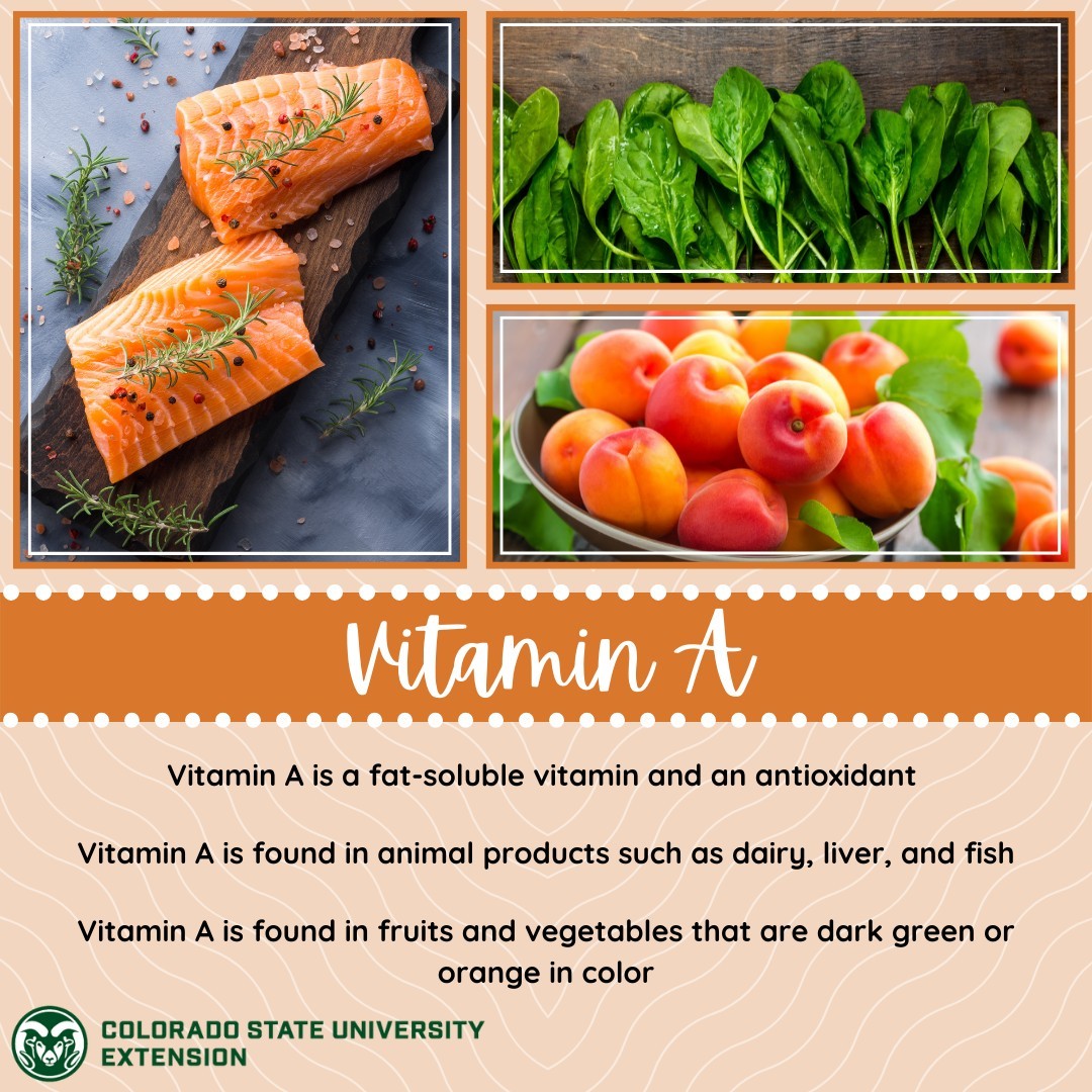 Learn about vitamin A, its food sources, and much more by visiting the link in our bio!

 #foodsmartcolorado #vitamin #foodsources #vitamins #spinach #pumpkin #fatsoluble