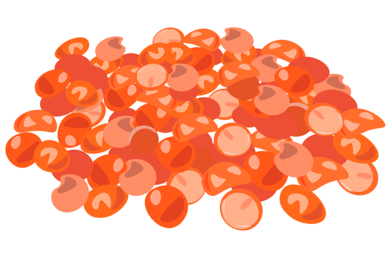 Tips for Cooking with Dry Beans and Other Pulses Food Smart Colorado