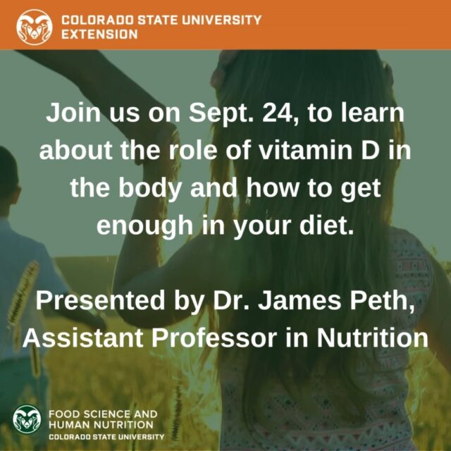 What is a Healthy Dietary Pattern – Food Smart Colorado